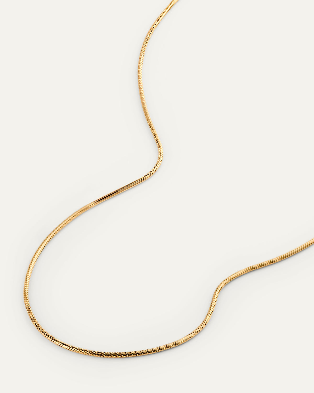 Snake Chain Necklace