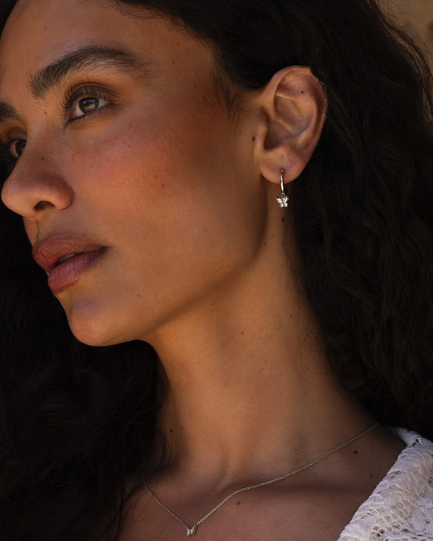 Butterfly Steel Hoops