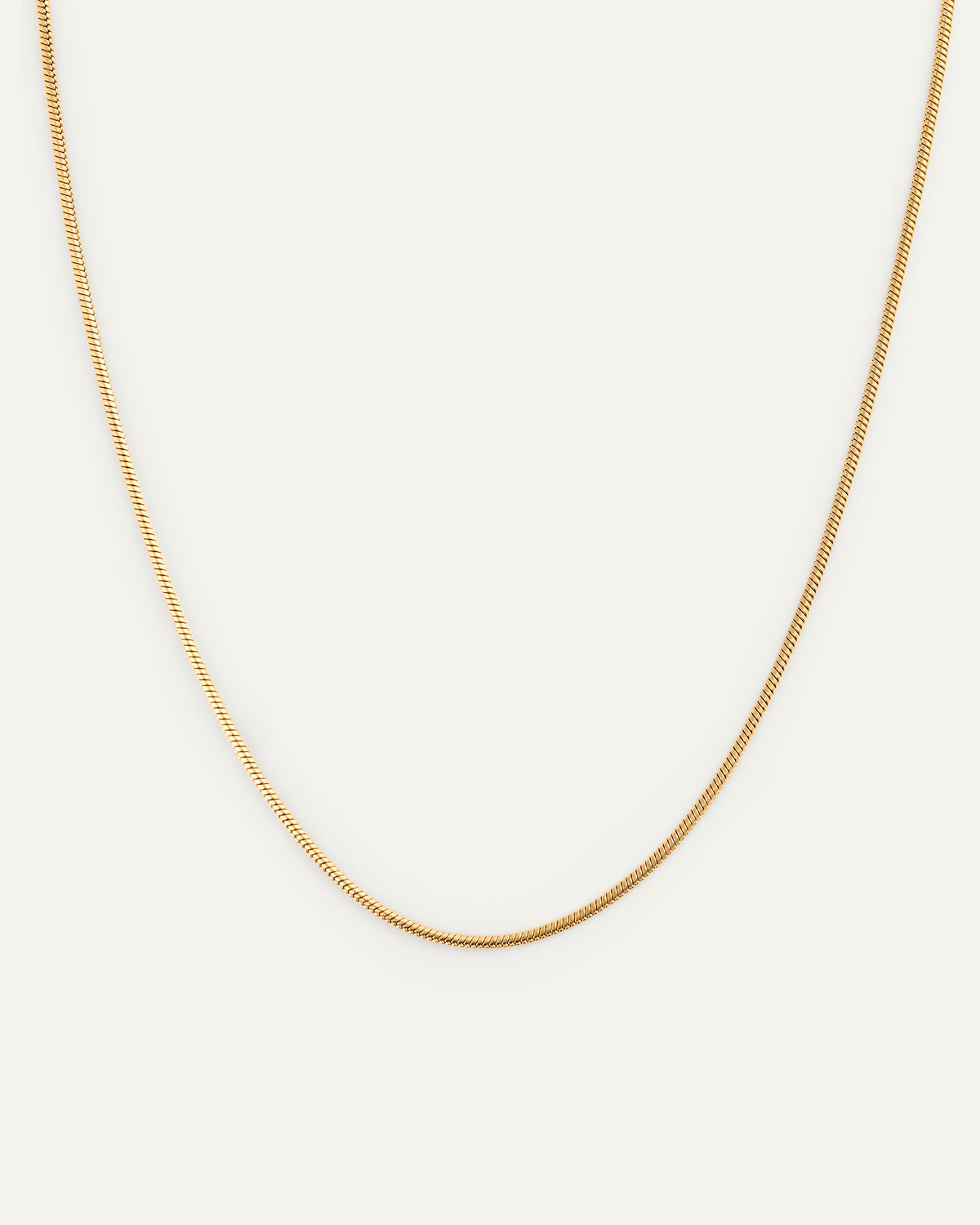 Snake Chain Necklace