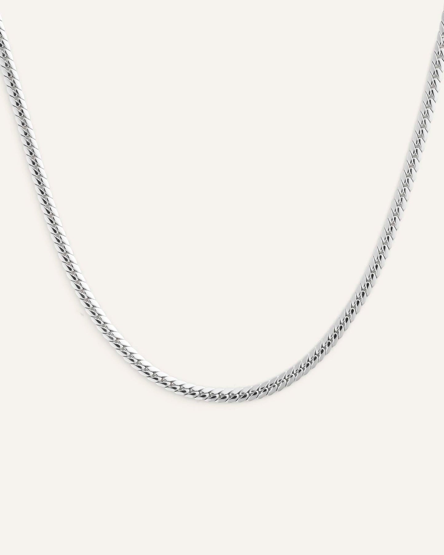 Serpentine Chain Steel Medium Necklace