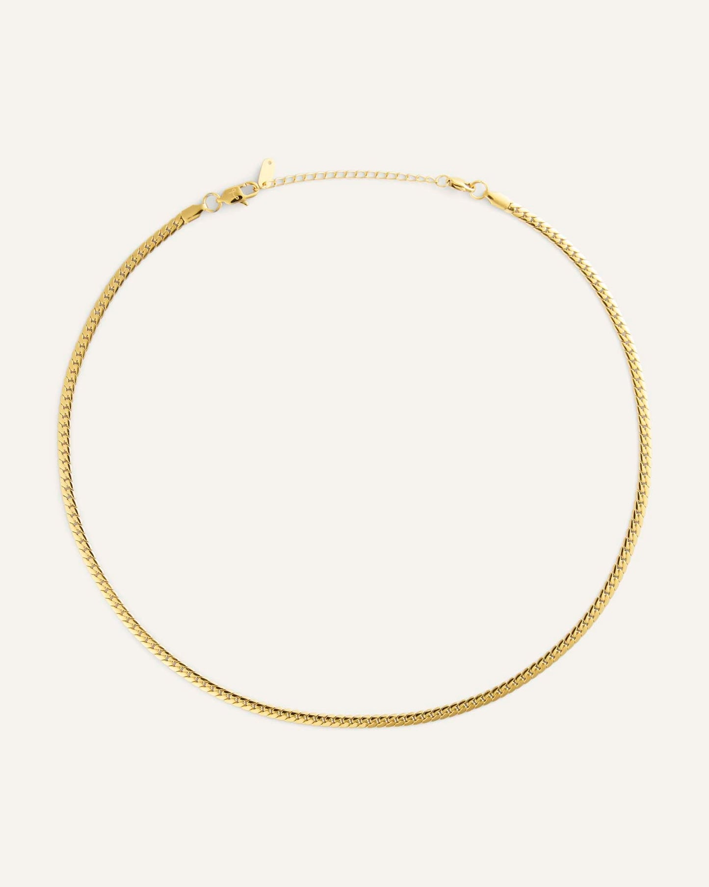 Serpentine Chain Gold Small Necklace