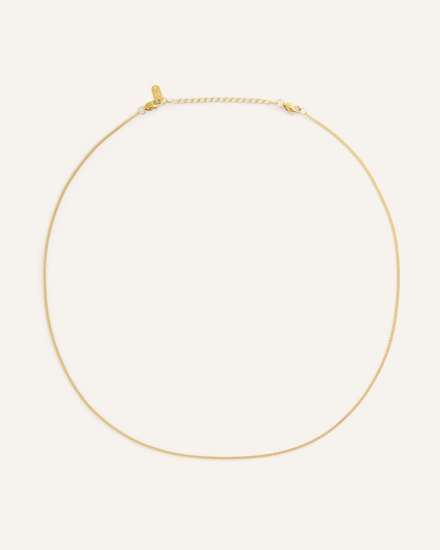 Thin Curb Chain Gold Small Necklace