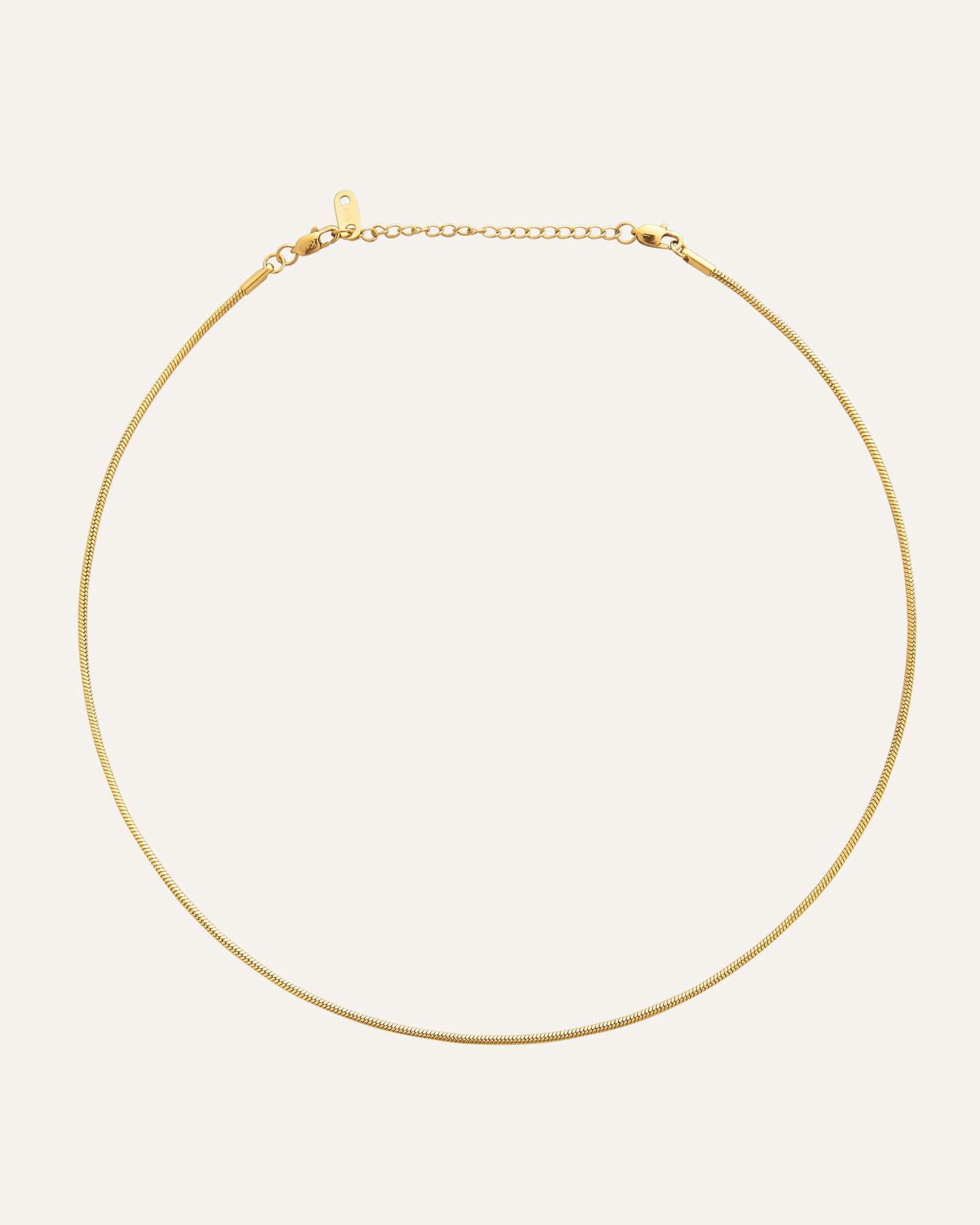 Snake chain necklace